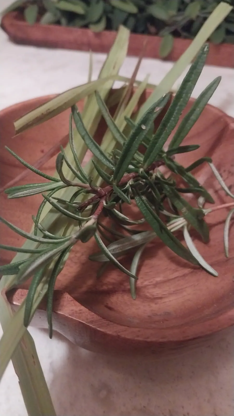 Fresh herbs from the Ontario region